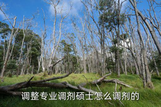 如何調整專業?調劑碩士怎么調劑的...